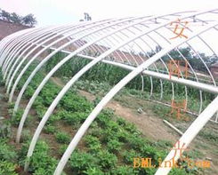 供應新型大棚支架 安陽星光種植技術開發(fā)引領農(nóng)業(yè)現(xiàn)代化